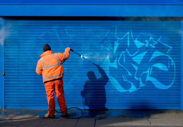 Best Affordable Pressure Washing  in Vista Santa Rosa, CA